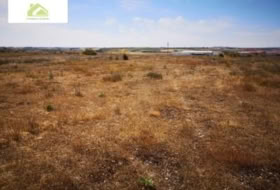 Zamora 7000&nbsp;m² 