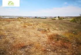 Zamora 7000&nbsp;m² 
