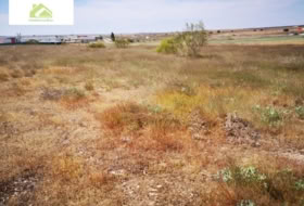 Zamora 7000&nbsp;m² 