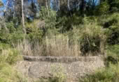Xalet independent amb terreny en venda a la España, Arenys de Lledó, ref.: TR409429 foto