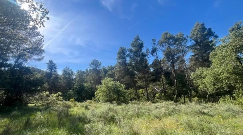 Teruel - Arens de Lledó - 12m2