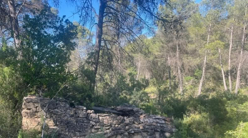 Teruel - Arens de Lledó - 12m2