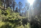 Xalet independent amb terreny en venda a la España, Arenys de Lledó, ref.: TR409429 foto