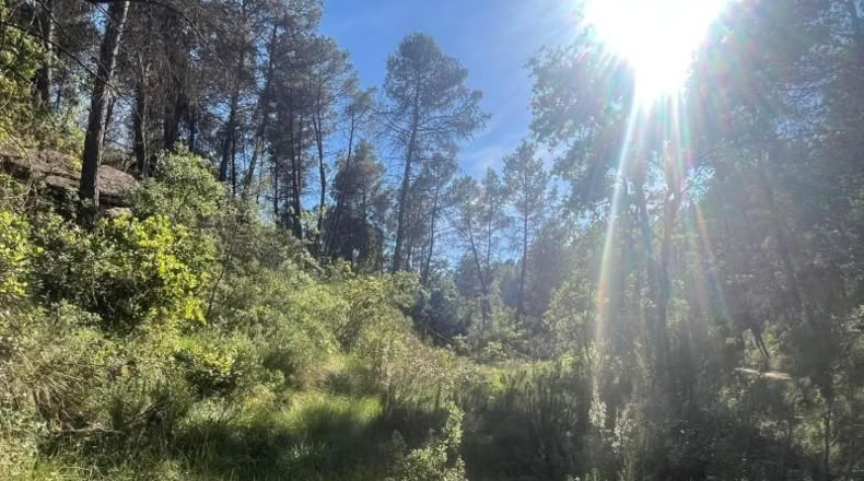 Teruel - Arens de Lledó - 12m2