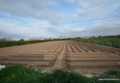 Terreny no urbanitzable en venda a la España, Oriola, ref.: TR311066 foto