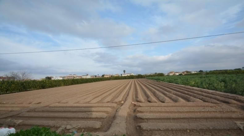 Alicante - Orihuela - 2219m2