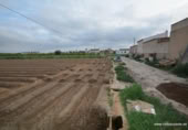 Terreny no urbanitzable en venda a la España, Oriola, ref.: TR311066 foto