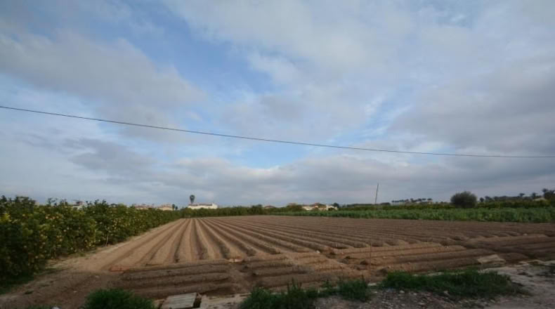 Alicante - Orihuela - 2219m2