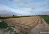 Terreny no urbanitzable en venda a la España, Oriola, ref.: TR311066 foto