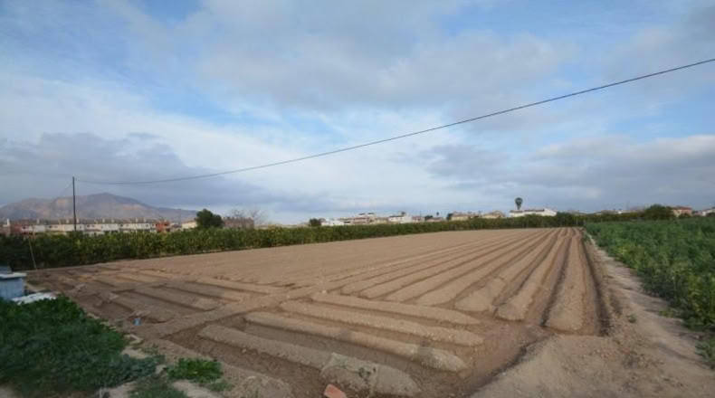 Alicante - Orihuela - 2219m2