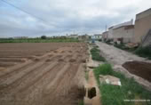 Terreny no urbanitzable en venda a la España, Oriola, ref.: TR311066 foto