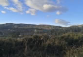 Non-developable land for sale on España, Benigànim, ref: TR263823 photo