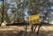 Non-developable land for sale on España, Torreorgaz, ref: TR409430 photo