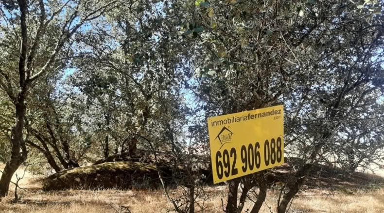 Caceres - Torreorgaz - 3000m2