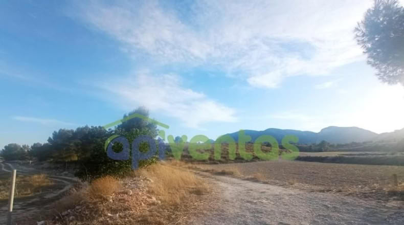 Murcia - Lorca - 120485m2