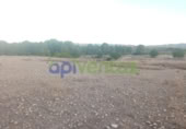 Chalet independiente con terreno en venta en la España, Lorca, ref: TR409443 foto