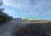 Chalet independiente con terreno en venta en la España, Lorca, ref: TR409443 foto