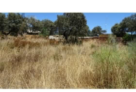 Castilblanco de los Arroyos 1000&nbsp;м²