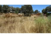 Terreno no urbanizable en venta en la España, Castilblanco de los Arroyos, ref: TR409433 foto