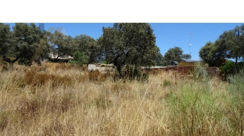 Sevilla - Castilblanco de los Arroyos - 1000m2