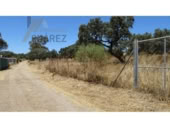 Terreno no urbanizable en venta en la España, Castilblanco de los Arroyos, ref: TR409433 foto