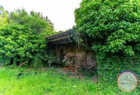 Carballo 454&nbsp;m² 