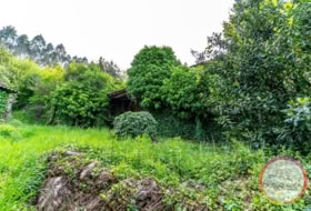Carballo 454&nbsp;m² 