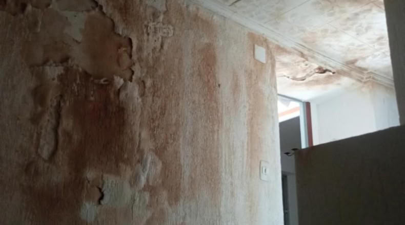 Alicante - Cocentaina - 11000m2