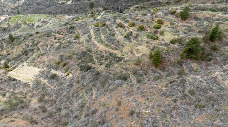 Comunidad de Madrid - Getafe - 8595m2