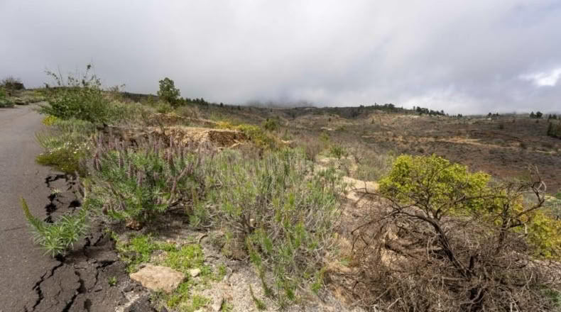Comunidad de Madrid - Getafe - 8595m2