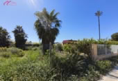 Terreny no urbanitzable en venda a la España, Santomera, ref.: TR395409 foto