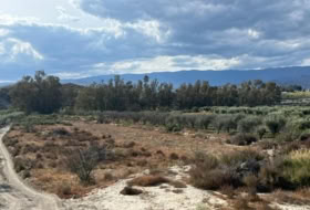 Tabernas 2199&nbsp;м²