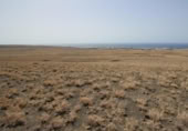Non-developable land for sale on España, Yaiza, ref: TR132154 photo