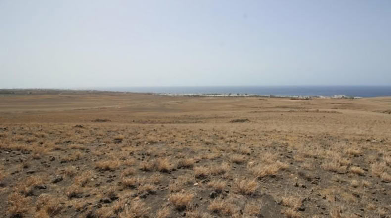Las Palmas - Yaiza - 7987m2