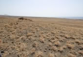 Non-developable land for sale on España, Yaiza, ref: TR132154 photo