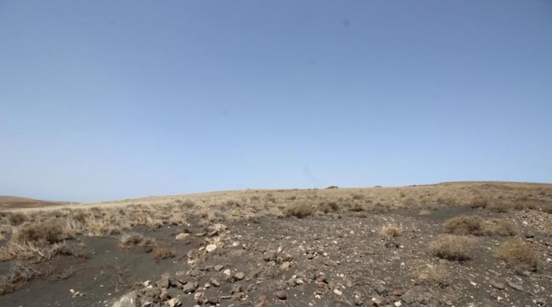 Las Palmas - Yaiza - 7987m2