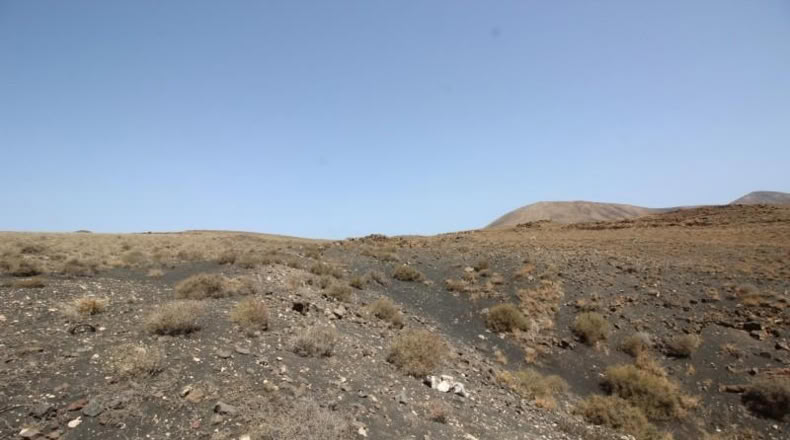 Las Palmas - Yaiza - 7987m2