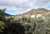 Дом с участком на продажу в городе La Vall d'Uixó Фото
