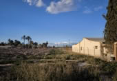 Terreny no urbanitzable en venda a la España, Elx, ref.: TR115711 foto