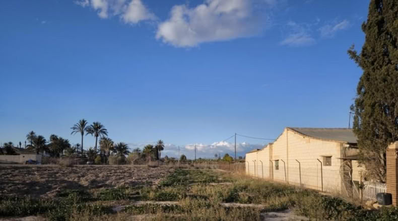 Alicante - Elche - 4000m2
