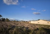 Terreny no urbanitzable en venda a la España, Elx, ref.: TR115711 foto