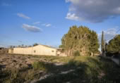 Terreny no urbanitzable en venda a la España, Elx, ref.: TR115711 foto