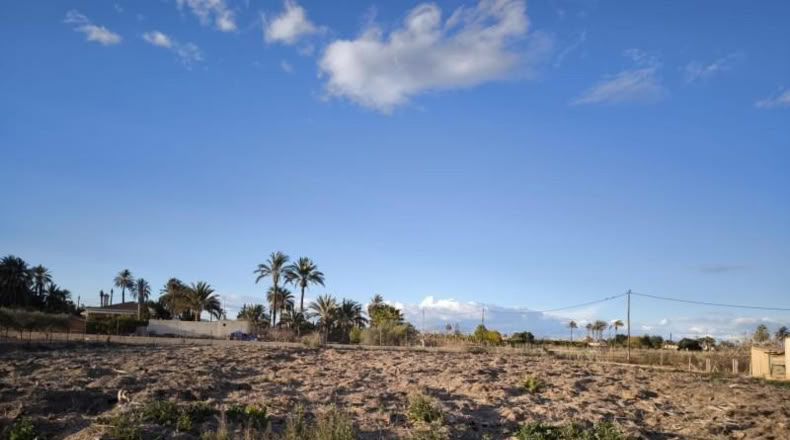 Alicante - Elche - 4000m2
