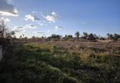 Terreny no urbanitzable en venda a la España, Elx, ref.: TR115711 foto