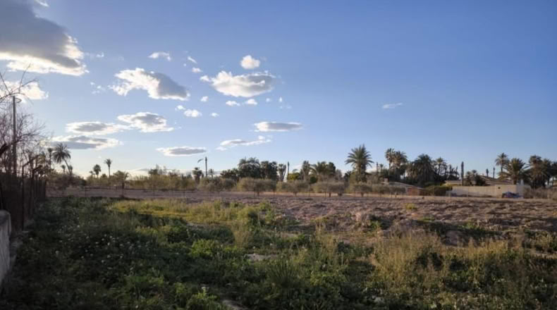 Alicante - Elche - 4000m2