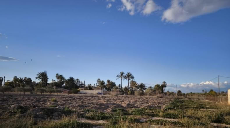 Alicante - Elche - 4000m2