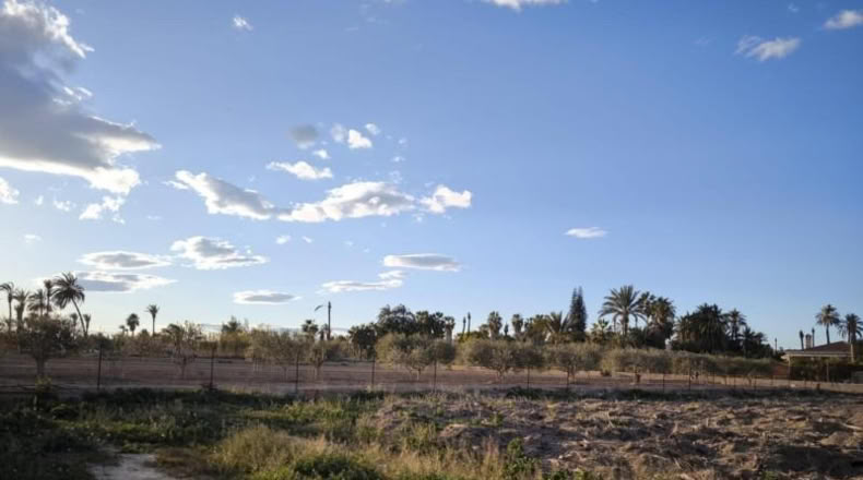 Alicante - Elche - 4000m2