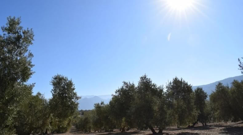 Granada - Villa de Otura - 15000m2