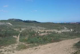 Algesires 30168&nbsp;m² 