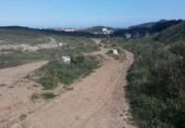 Parcela urbanizable en venta en la España, Algeciras, ref: TR409472 foto